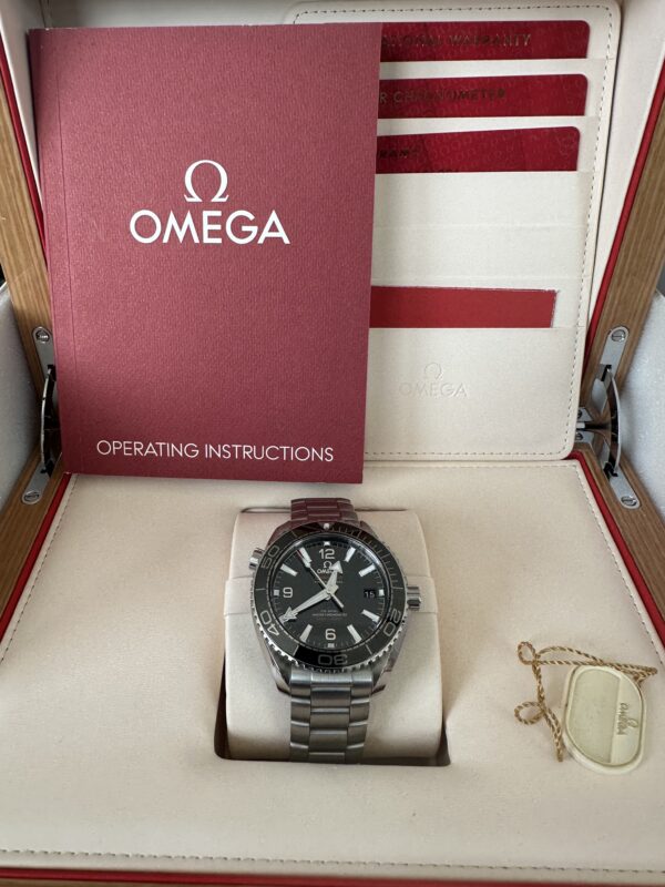 Omega Seamaster Planet Ocean 600M - Image 5